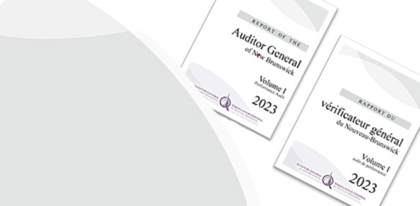 2023 Auditor General Report