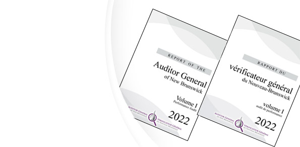 2022 Auditor General Report